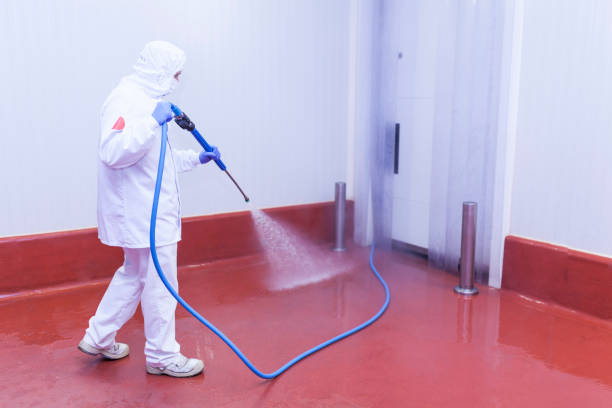 Best Deck and Patio Pressure Washing in South Farmingdale, NY